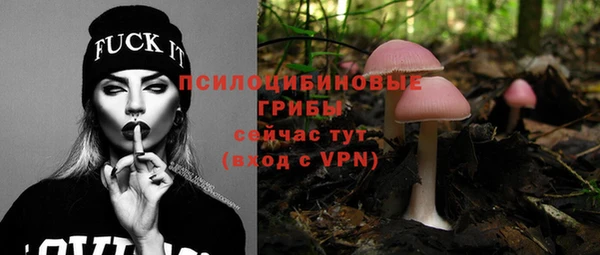 скорость Богородицк