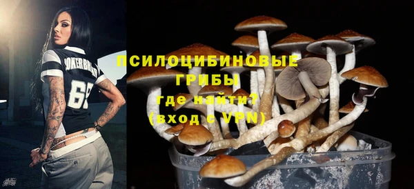 MDMA Богданович