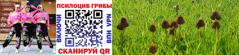 Псилоцибиновые грибы MAGIC MUSHROOMS  Балахна 